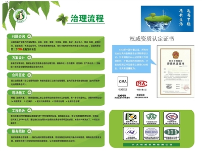 专业除甲醛与环保咨询服务 守护您的呼吸健康